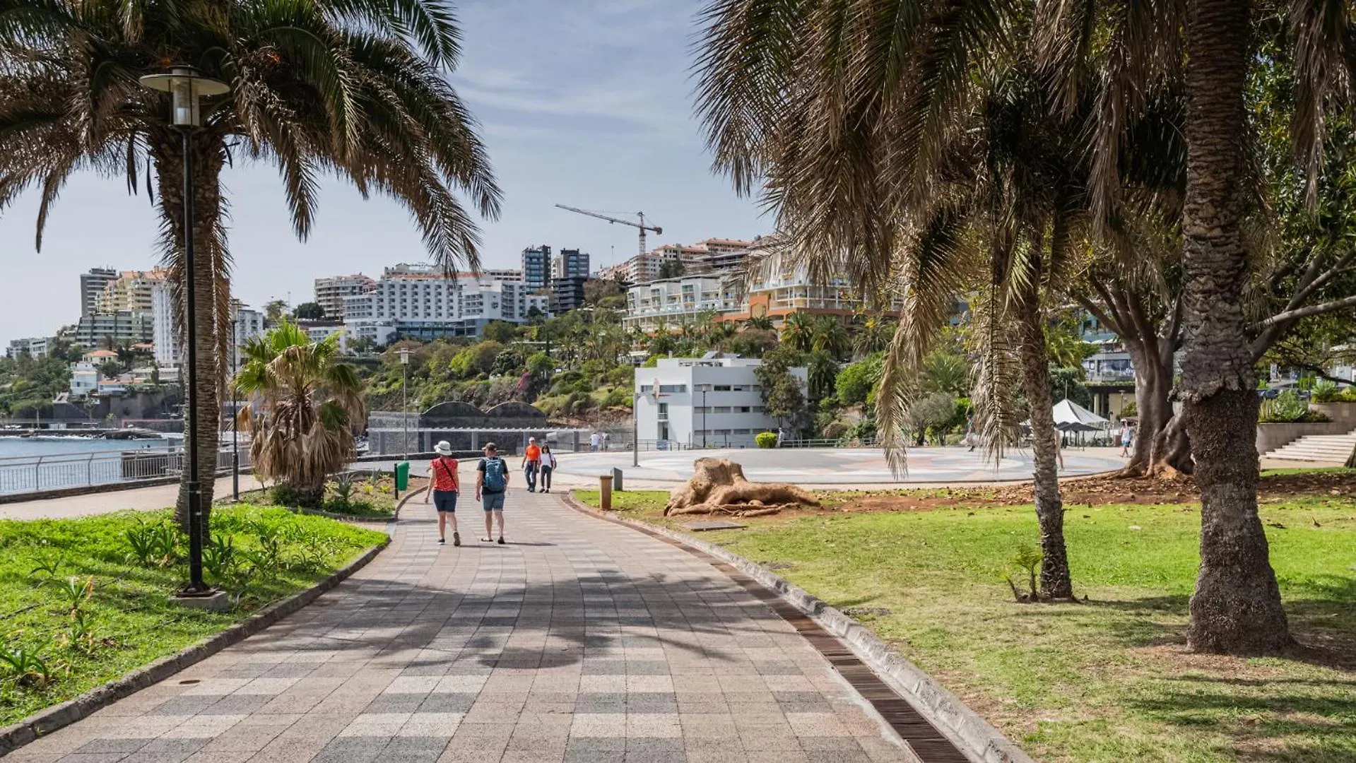 Oceanside Terrace Apartment By Holiday Rental Madeira Funchal